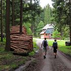 Wanderung bei Reichental, Nordschwarzwald