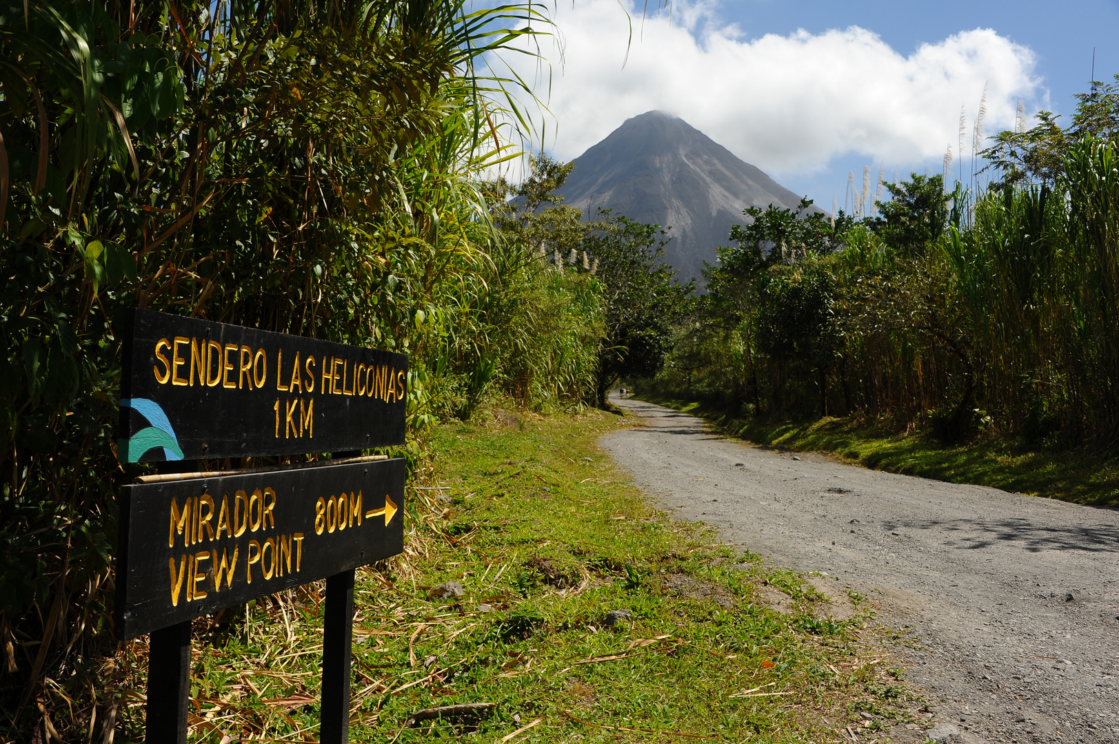 Wanderung beim Vulkan Arenal