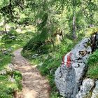 Wanderung Dalfaz-Alm