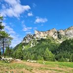 Wanderung Dalfaz-Alm