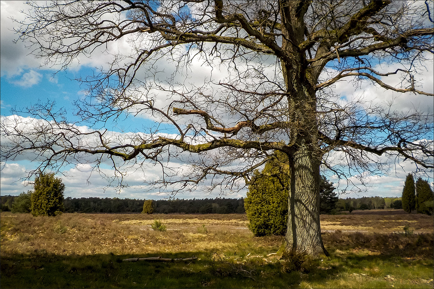 Wanderung durch das Haverbeeke-Tal