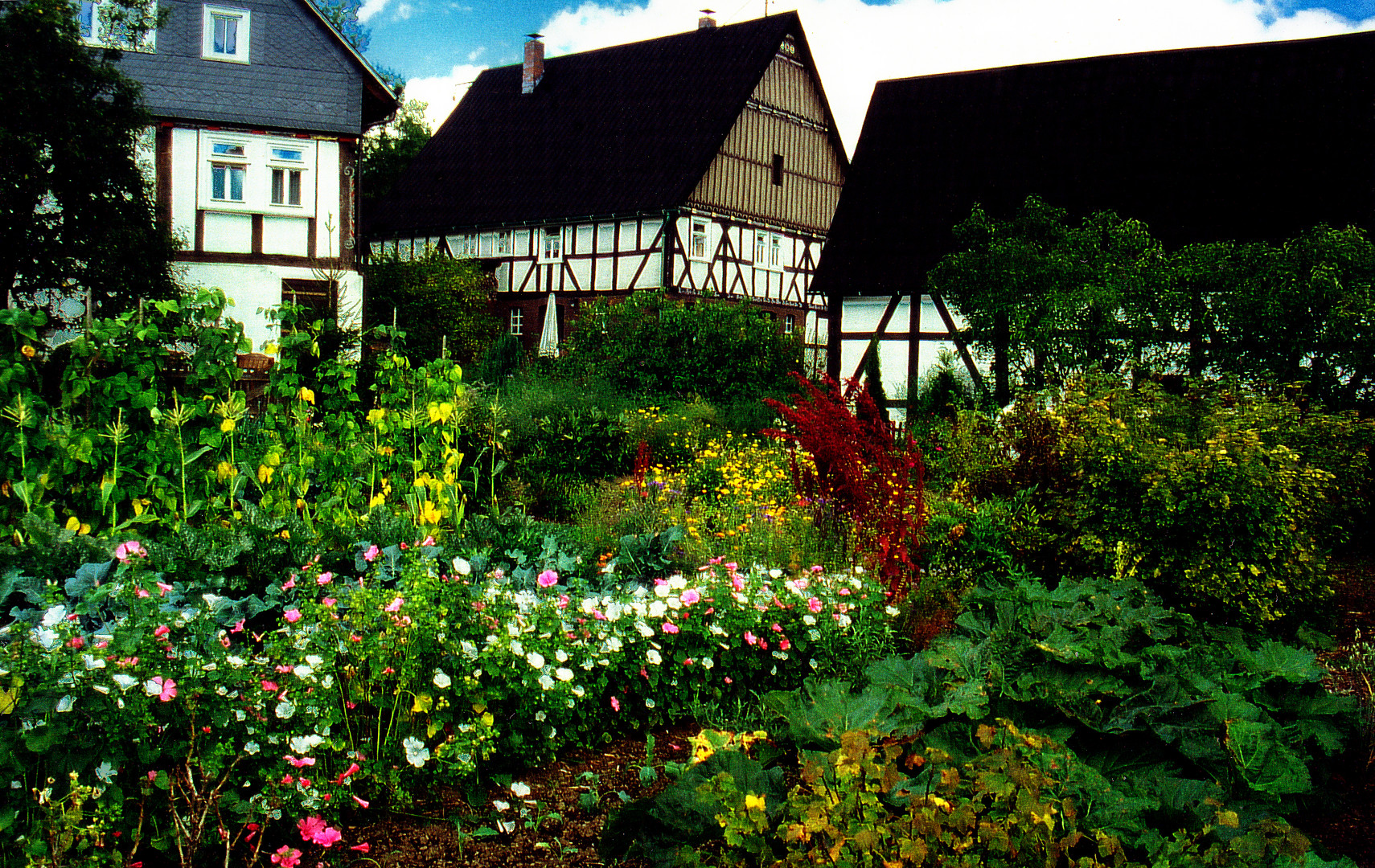 Wanderung durch das Obere Dreisbachtal