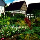 Wanderung durch das Obere Dreisbachtal