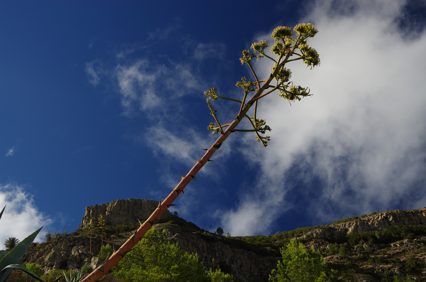 Wanderung durch das Tal von La Roja