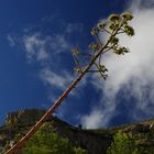 Wanderung durch das Tal von La Roja