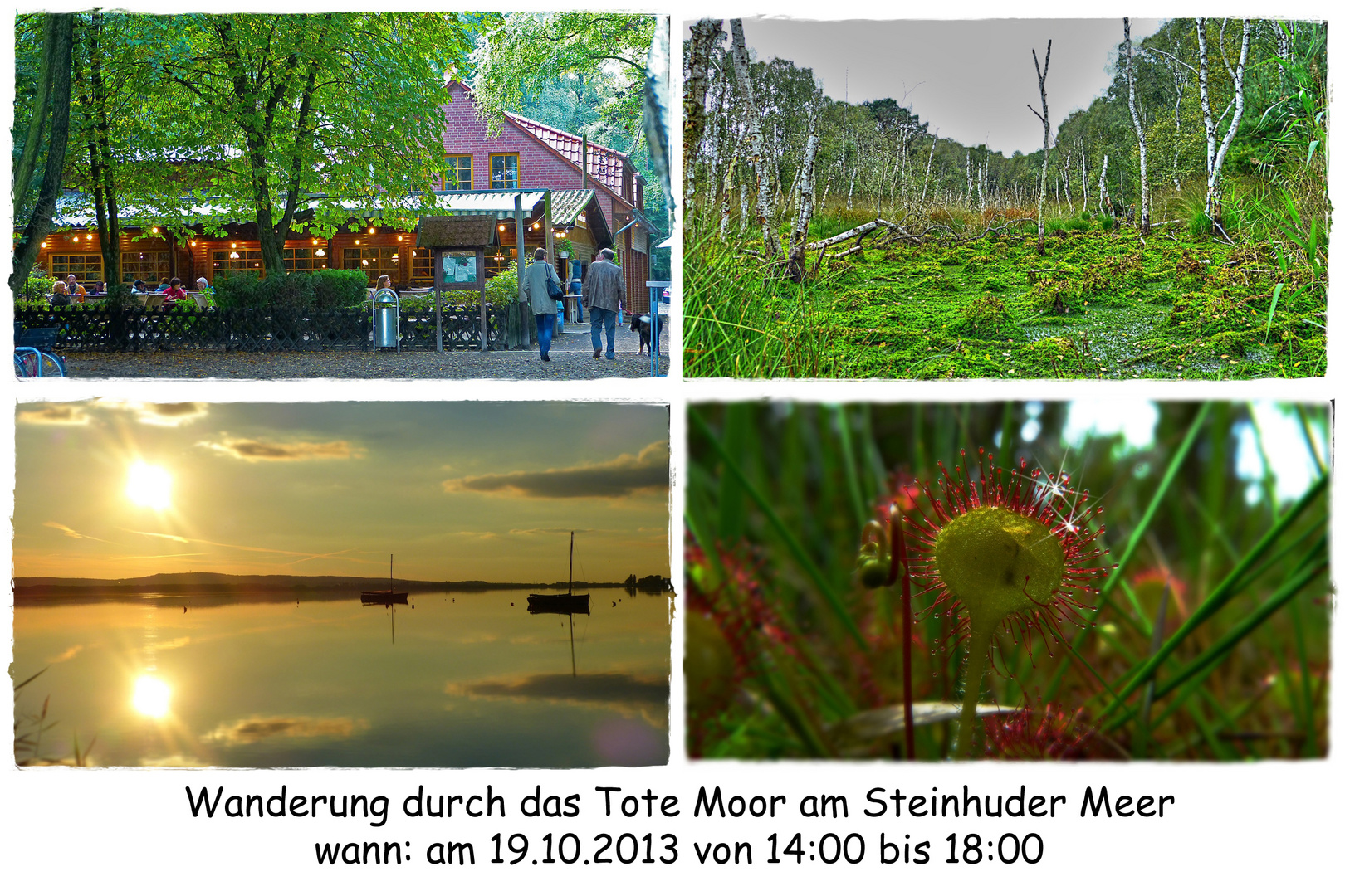 Wanderung durch das Tote Moor