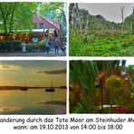 Wanderung durch das Tote Moor