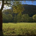 Wanderung durch den Herbst I