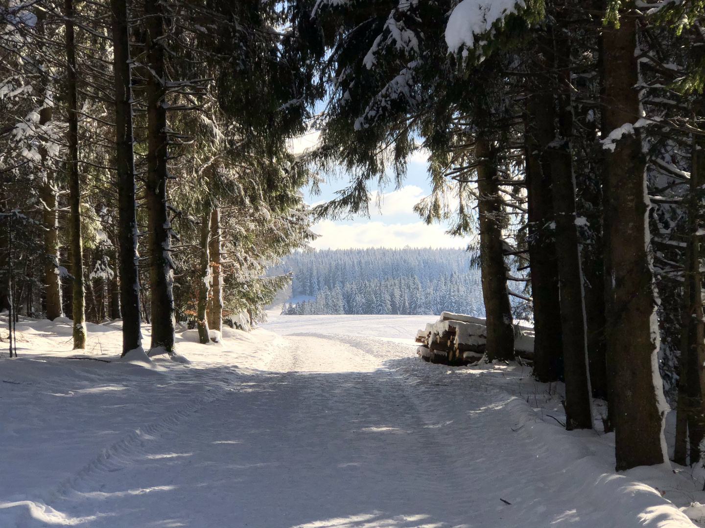 Wanderung durch den verschneiten Wald 