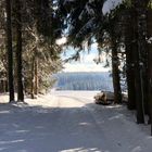 Wanderung durch den verschneiten Wald 