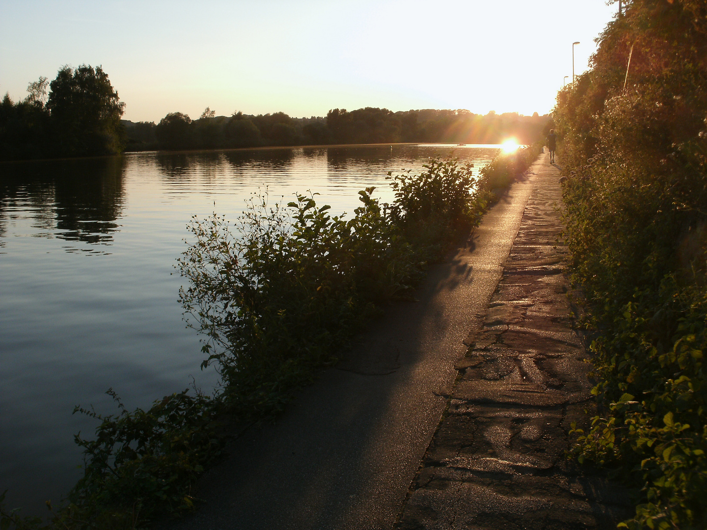 Wanderung durch die Abendsonne