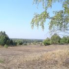 Wanderung durch die Döberitzer Heide