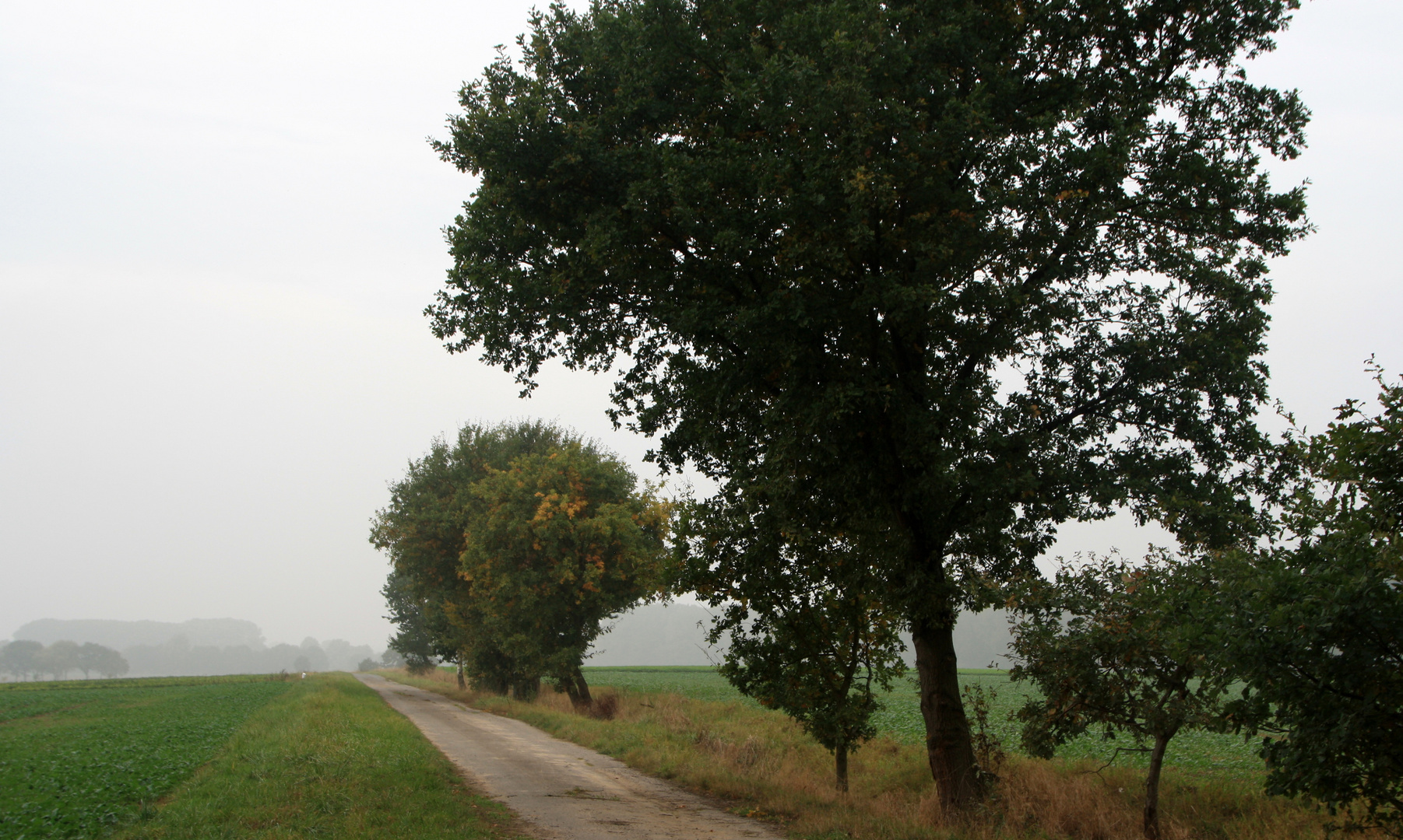 Wanderung durch die Felder