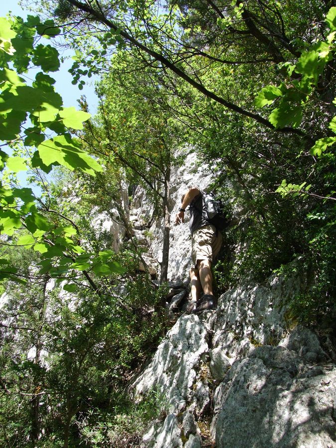 Wanderung durch die "Gorges de la Nesque"