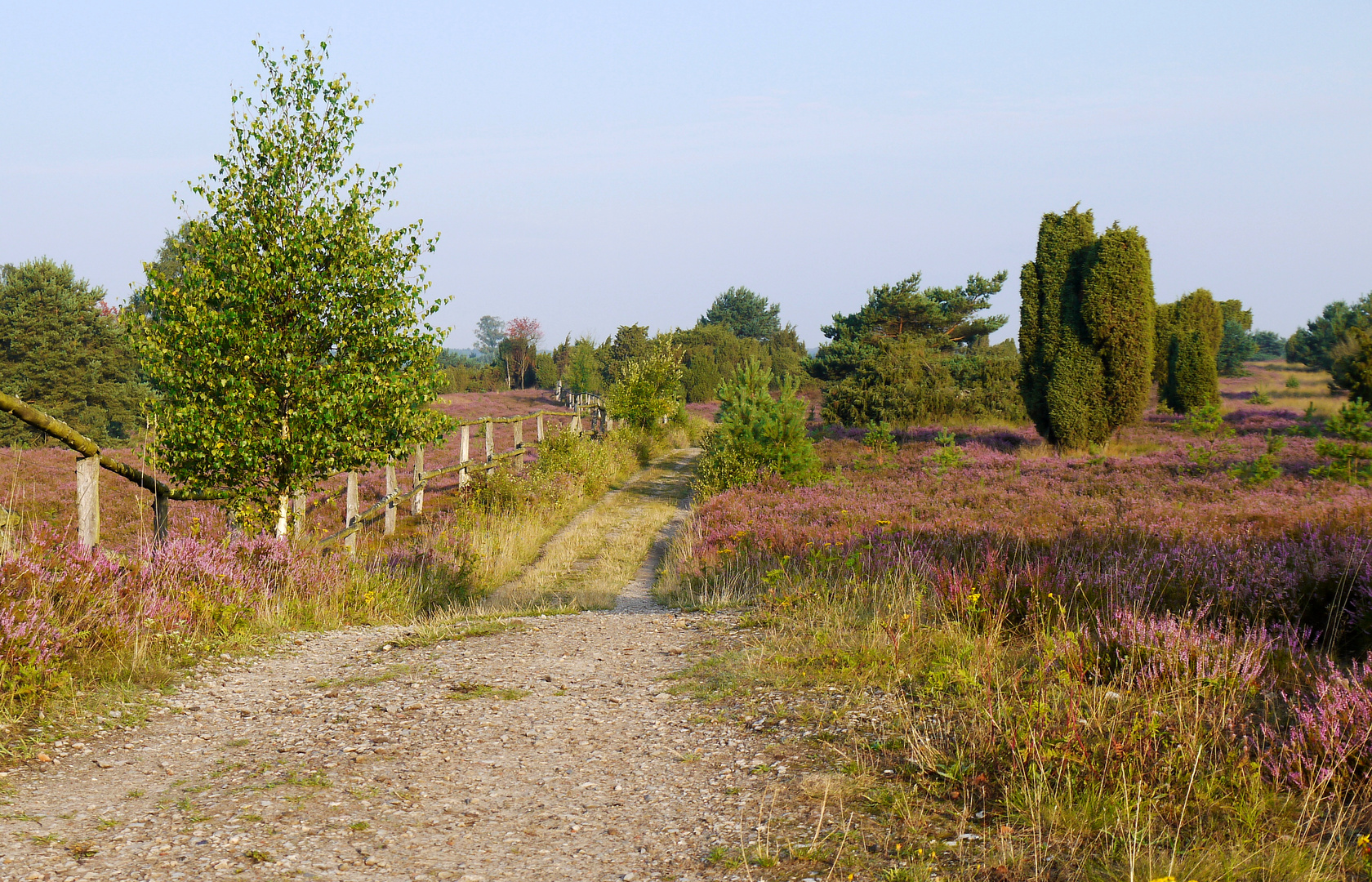 Wanderung durch die Lüneburger Heide