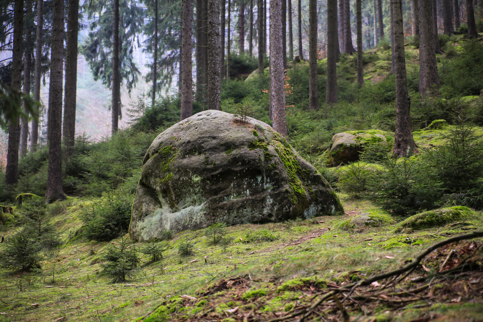 Wanderung durch die Sächische Schweiz...07