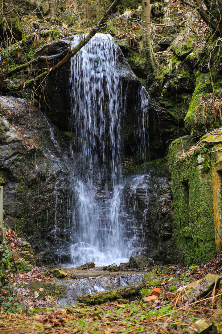 Wanderung durch die Sächsische Schweiz...06