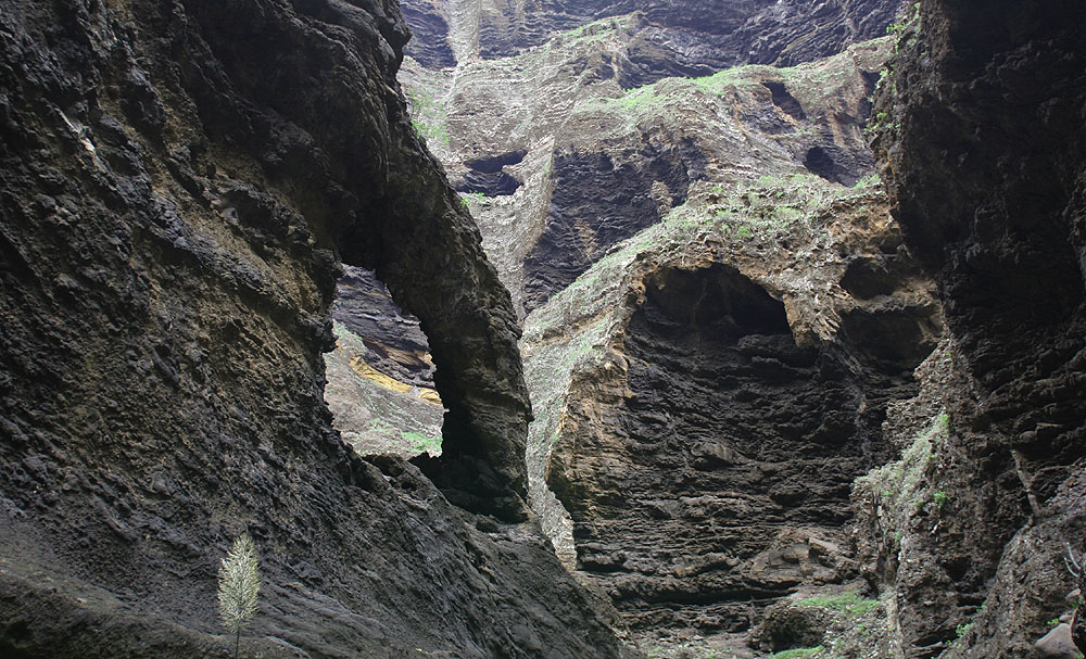 Wanderung durch die Schlucht von Masca I