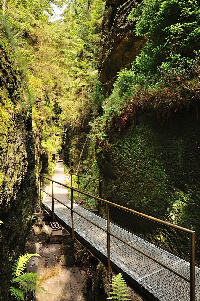 Wanderung durch die Schwedenlöcher, über 800 Stufen geht es hier runter und wieder hoch..