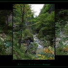 " Wanderung durch die Tscheppaschlucht bei Ferlach "