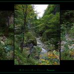 " Wanderung durch die Tscheppaschlucht bei Ferlach "