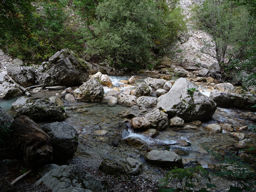 " Wanderung durch die Tscheppaschlucht bei Ferlach "