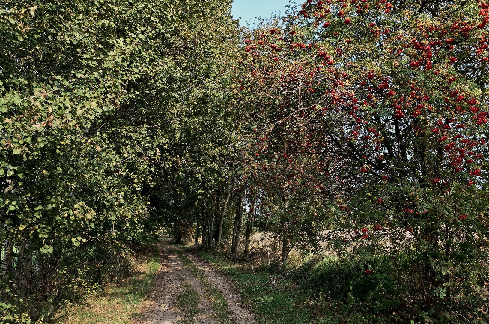 Wanderung durch die Wedemark