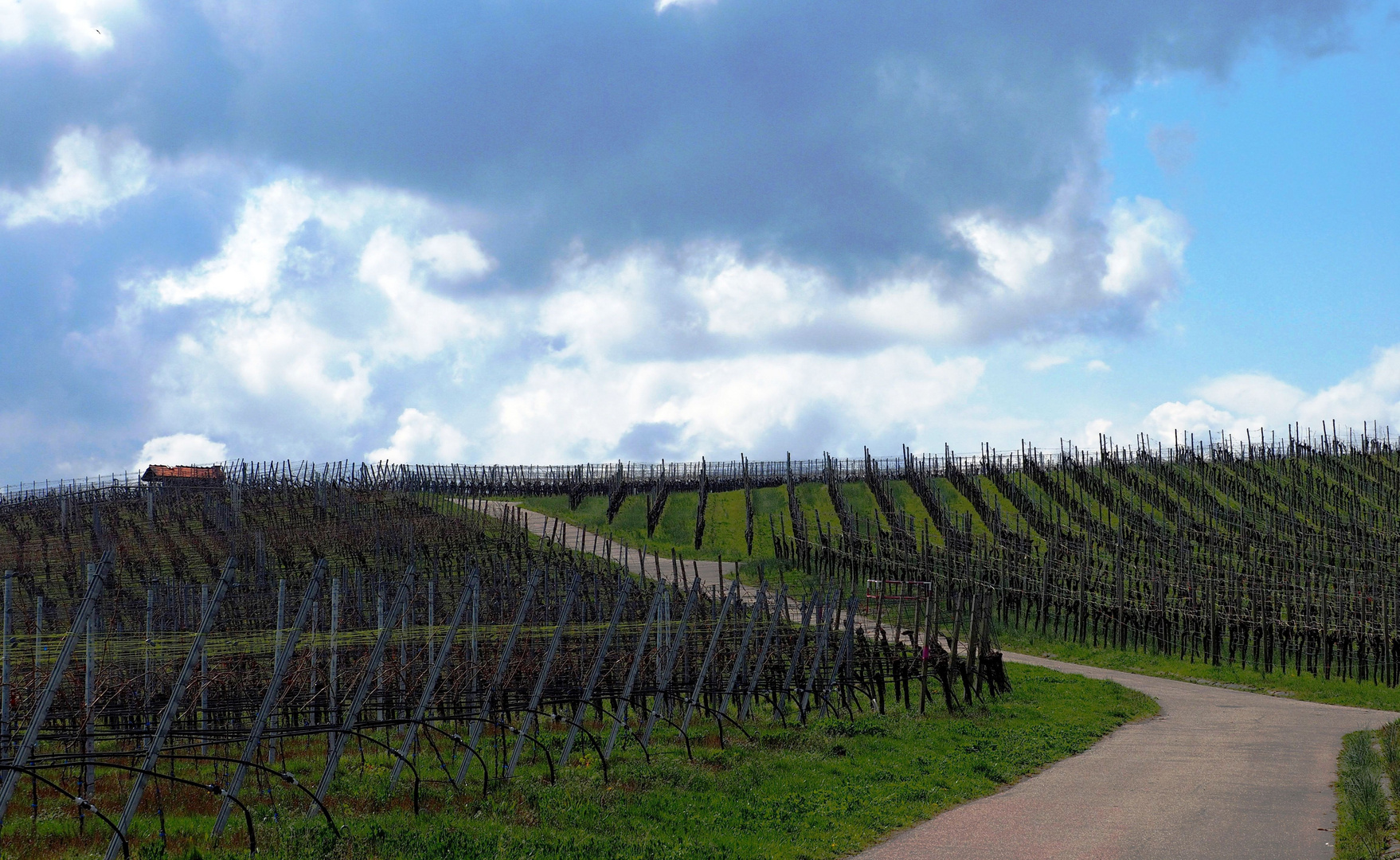 Wanderung durch die Weinberge