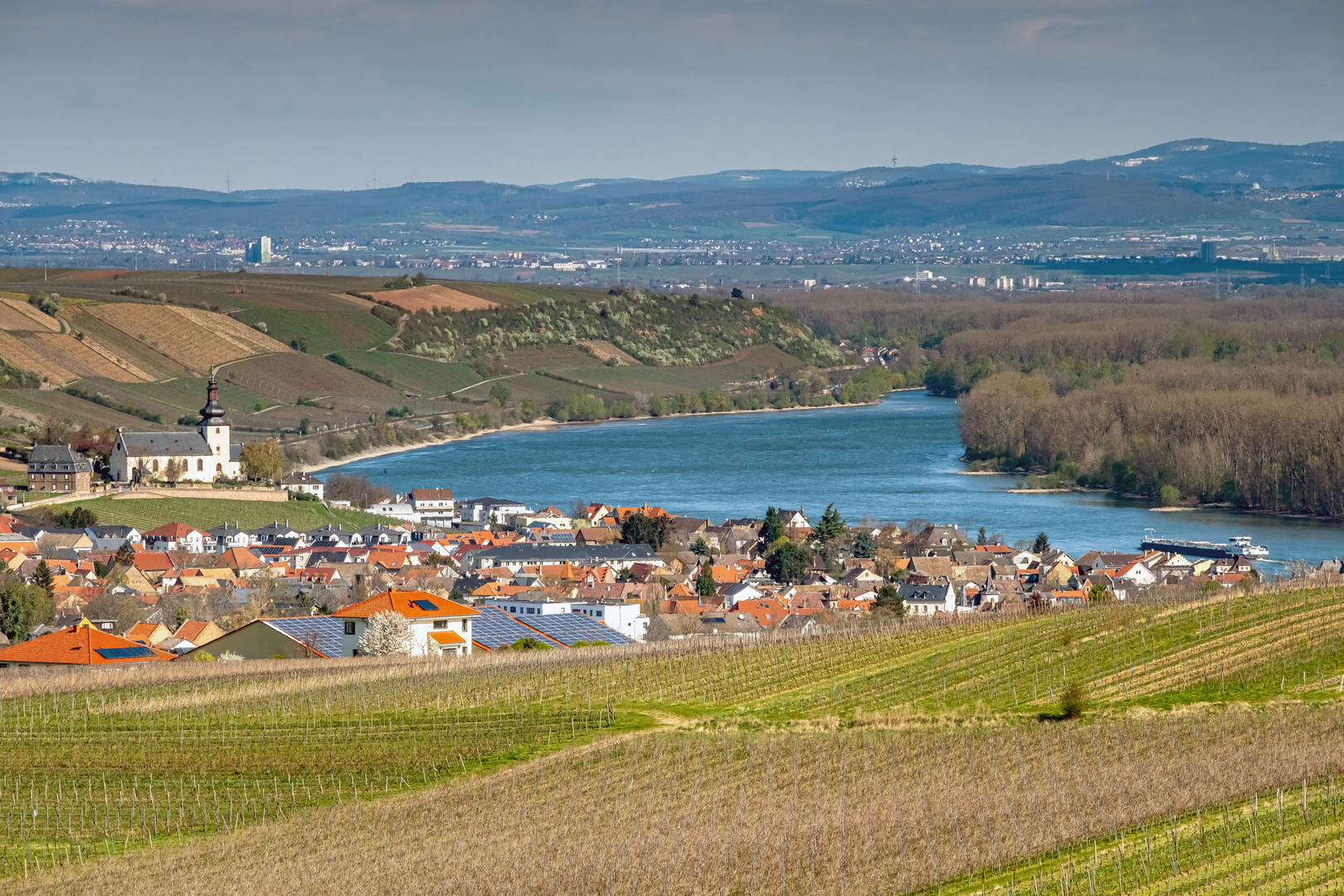 Wanderung durch die Weinberge