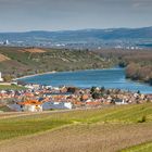 Wanderung durch die Weinberge