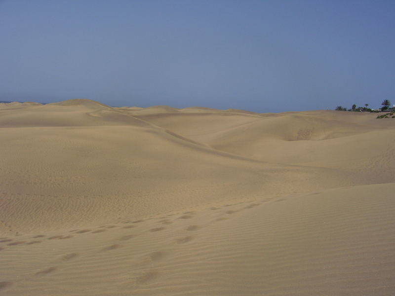 Wanderung durch die Wüste