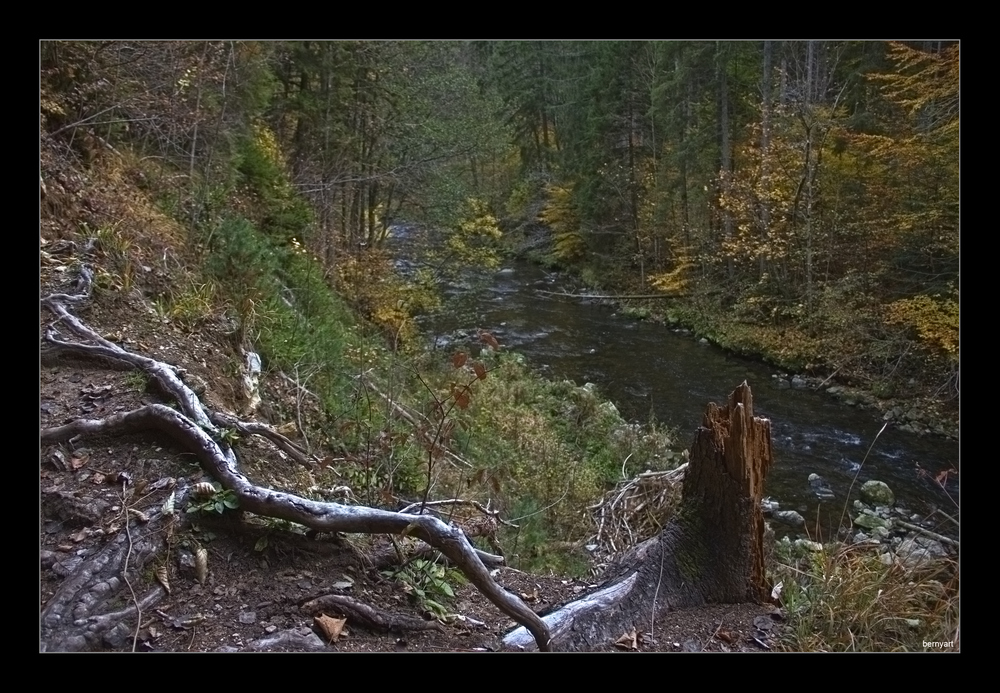 Wanderung durch die Wutachschlucht...