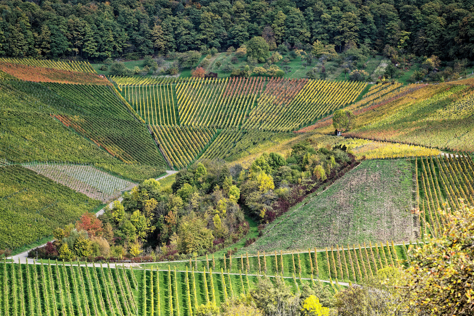 Wanderung durch herbstliche Farben