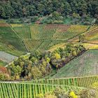 Wanderung durch herbstliche Farben