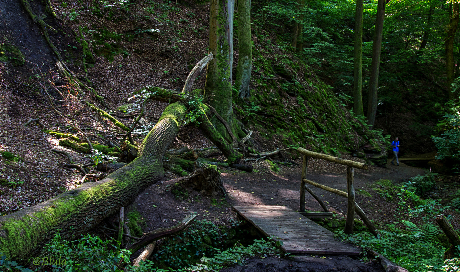 Wanderung durch Natur und Erdgeschichte