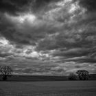 Wanderung durch Rheinhessen