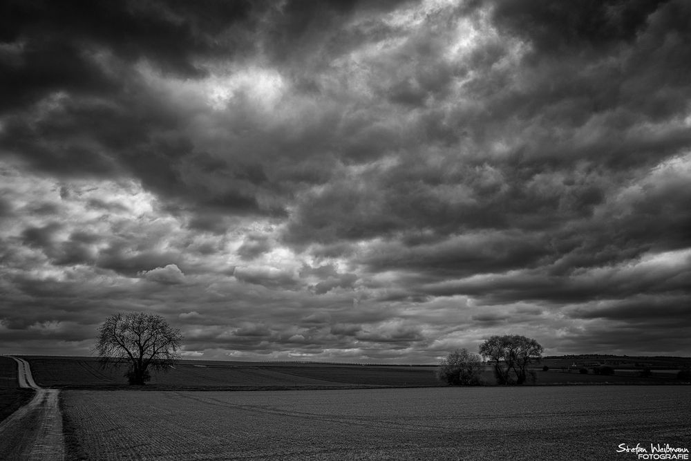 Wanderung durch Rheinhessen