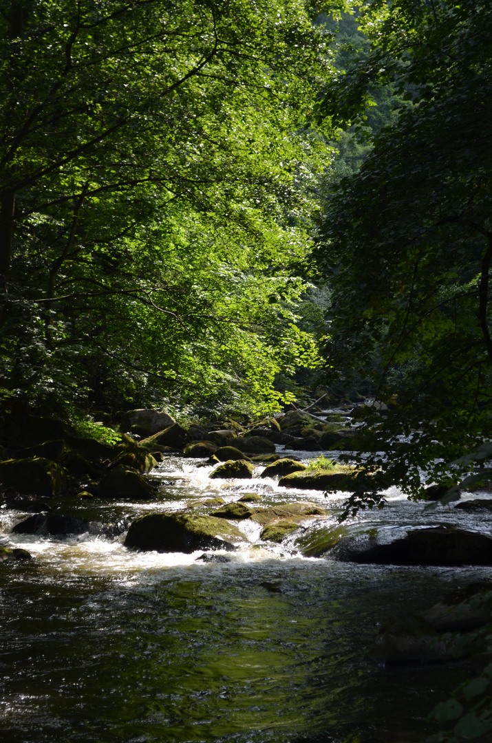 Wanderung durchs Bodetal (1)