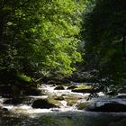 Wanderung durchs Bodetal (1)