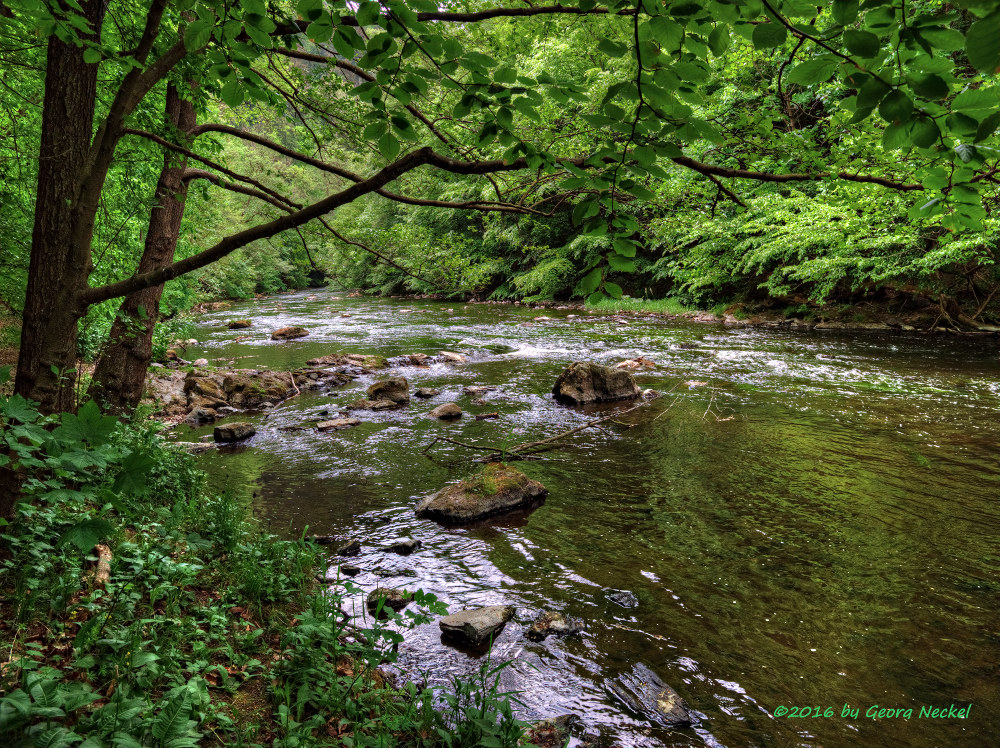 Wanderung durchs Bodetal 1