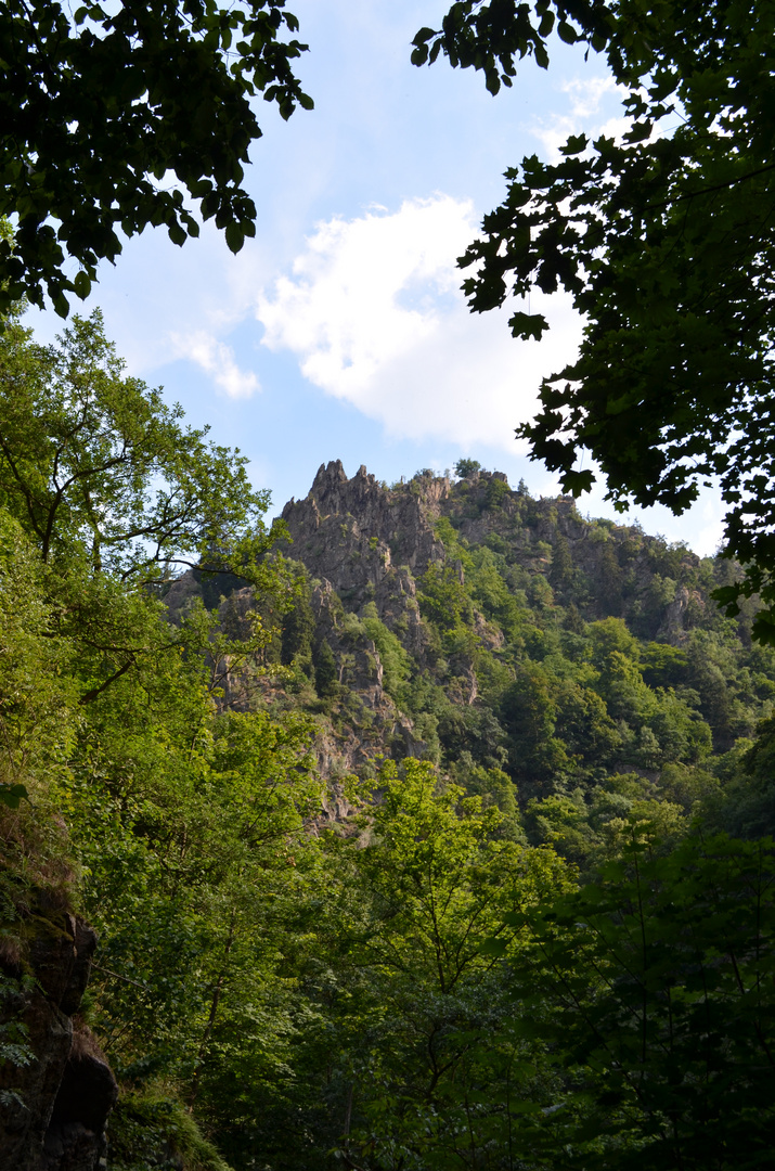 Wanderung durchs Bodetal (2)