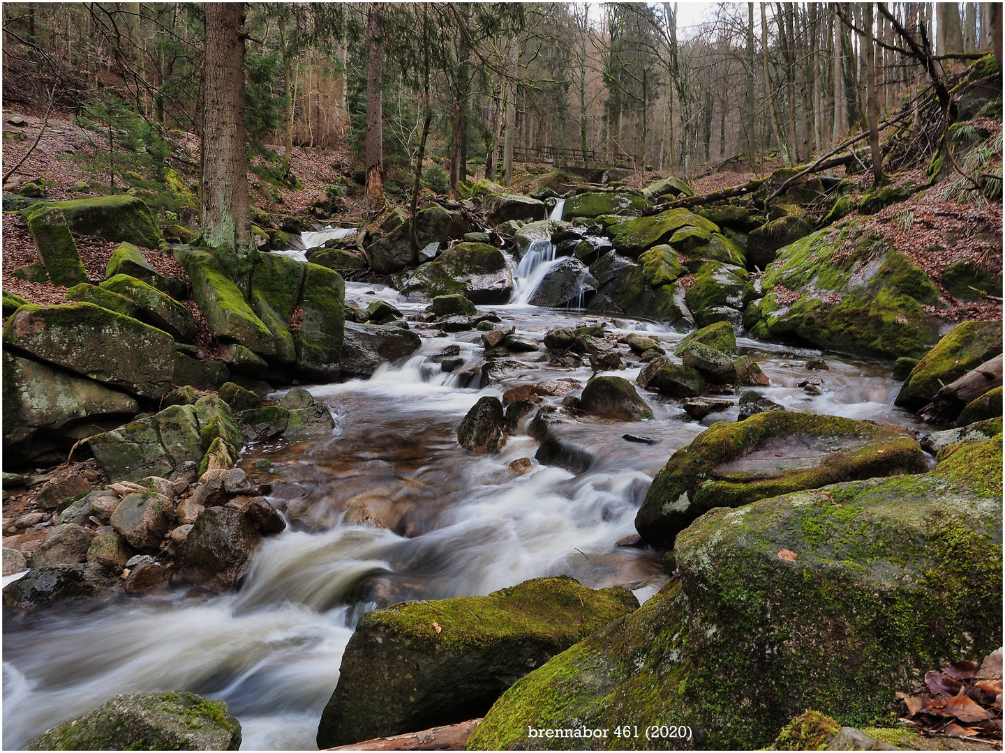 Wanderung durchs Ilsetal