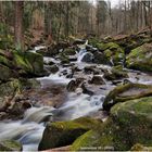 Wanderung durchs Ilsetal