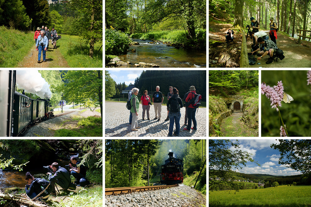 Wanderung durchs Preßnitztal