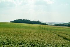 Wanderung durchs Wohnroter Tal 29-06-2003 IV