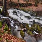 Wanderung durchs wunderschöne Selketal (1)