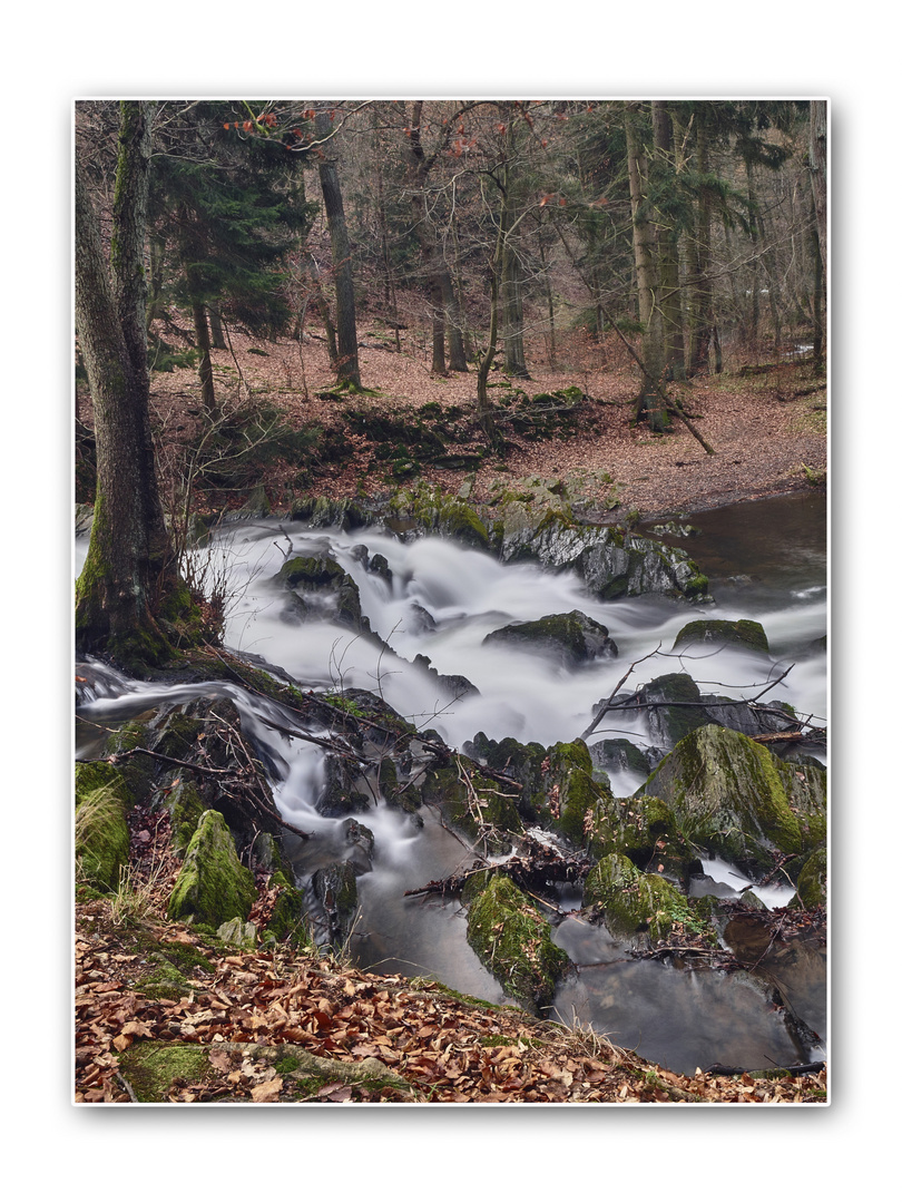 Wanderung durchs wunderschöne Selketal