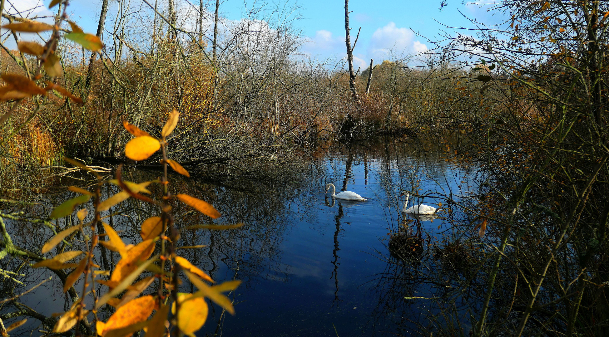 Wanderung Eichwerder Steg 1