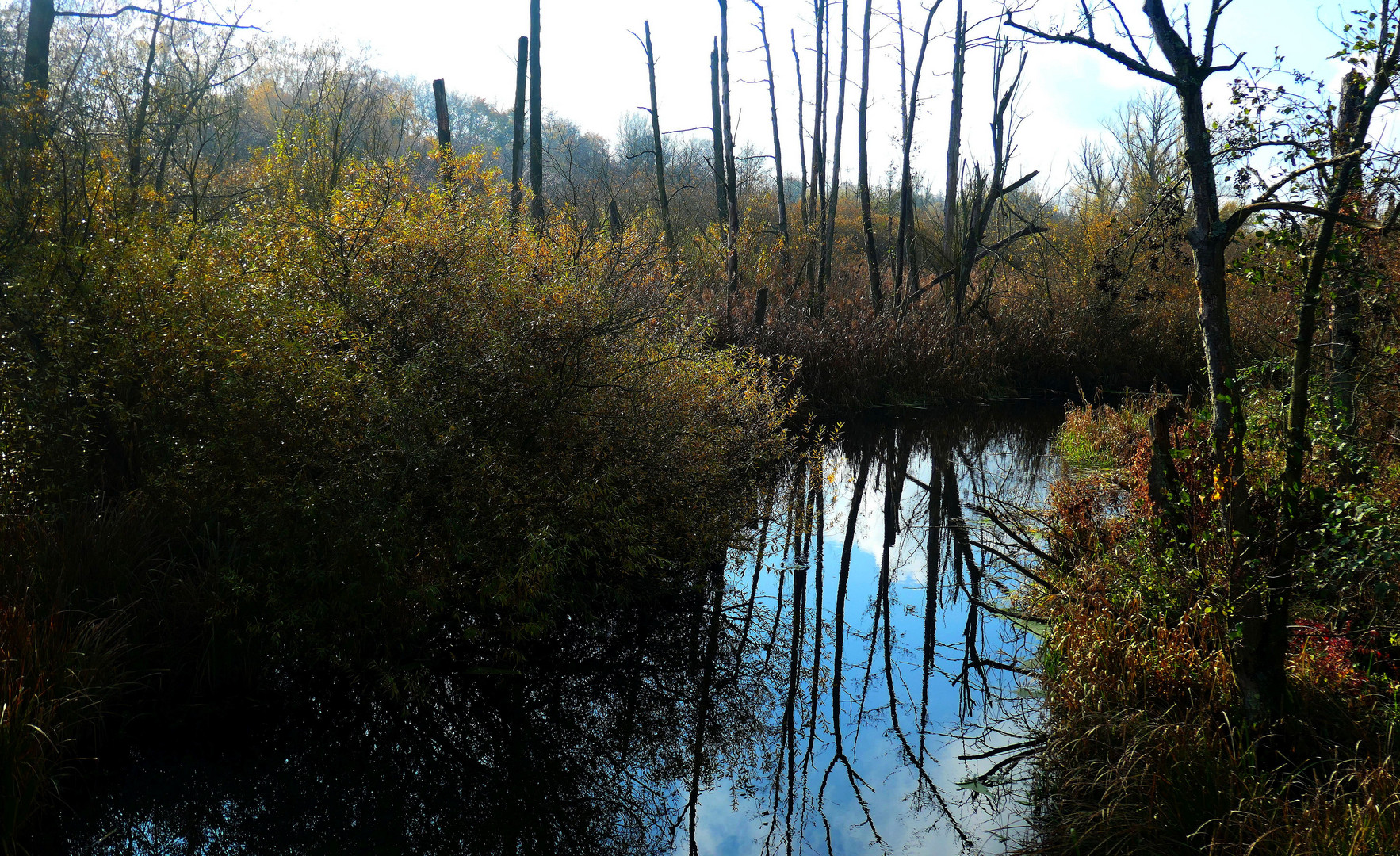 Wanderung Eichwerder Steg 2