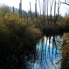 Wanderung Eichwerder Steg 2